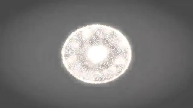 Pixel Animation of Human Civilization