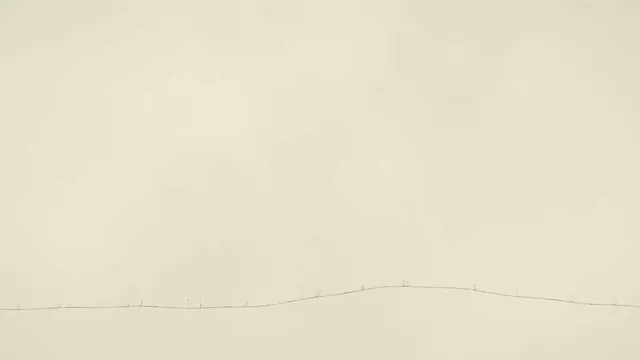 Night Sky Painting Generative Short Film